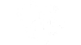 Harneys gears