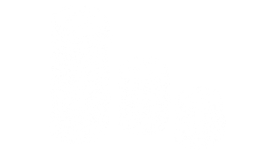 Harneys Podcasts Contentious Crypto