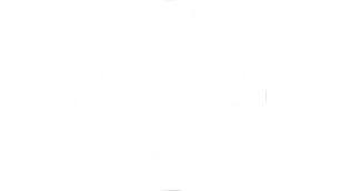 BVI badge